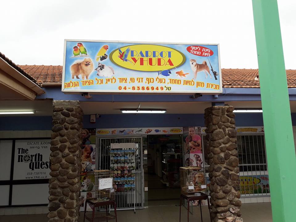 בדרך לרמת הגולן חוויה בלתי נשכחת בפארוט יהודה .